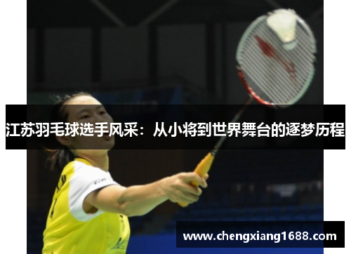 江苏羽毛球选手风采：从小将到世界舞台的逐梦历程