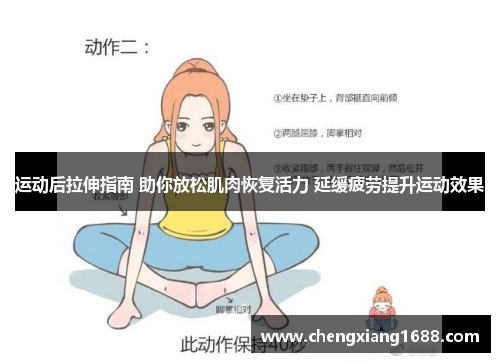 运动后拉伸指南 助你放松肌肉恢复活力 延缓疲劳提升运动效果