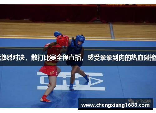激烈对决，散打比赛全程直播，感受拳拳到肉的热血碰撞
