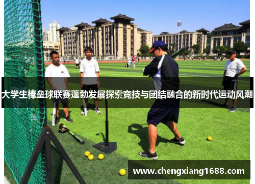 大学生棒垒球联赛蓬勃发展探索竞技与团结融合的新时代运动风潮