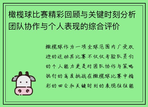 橄榄球比赛精彩回顾与关键时刻分析团队协作与个人表现的综合评价